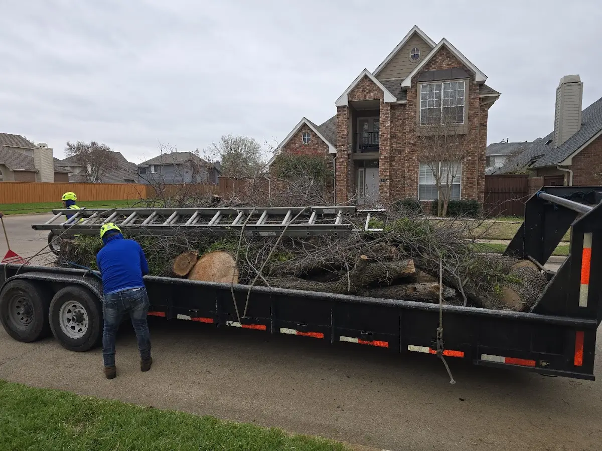 Expert Tree Fertilization with proper safety equipment in Roper